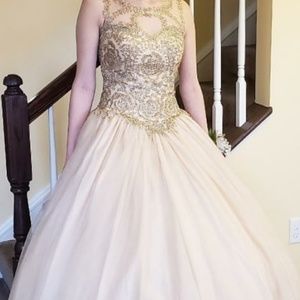 Elegant Prom Dress